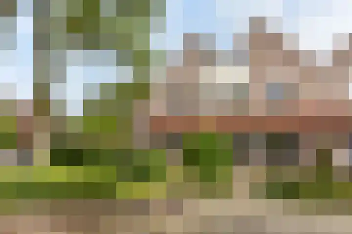 Waterhoen 10 Mijdrecht thumbnail 31
