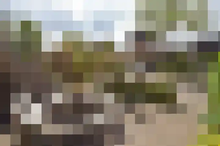 Waterhoen 10 Mijdrecht thumbnail 32