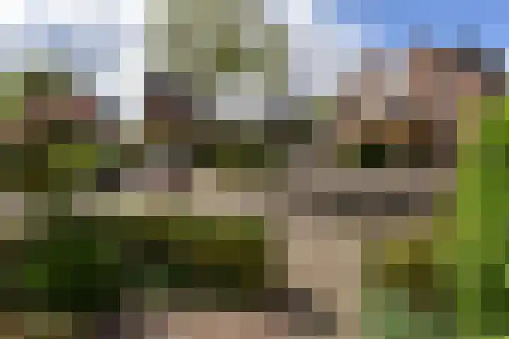 Waterhoen 10 Mijdrecht thumbnail 33