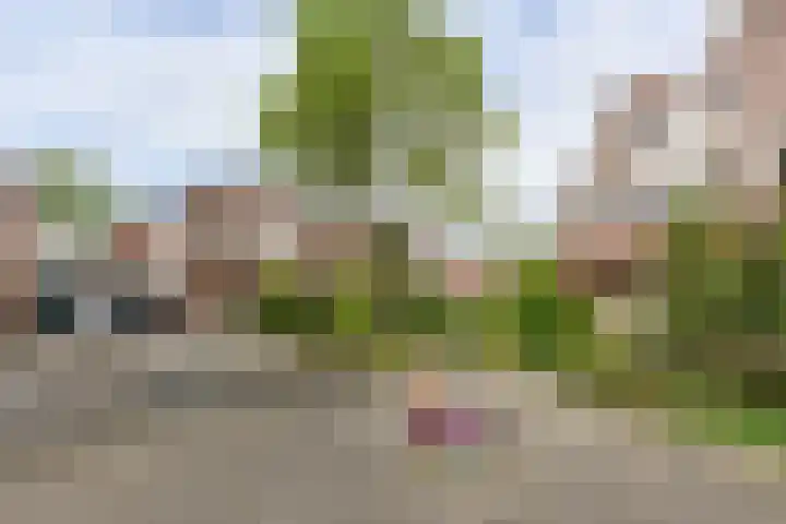 Waterhoen 10 Mijdrecht thumbnail 34