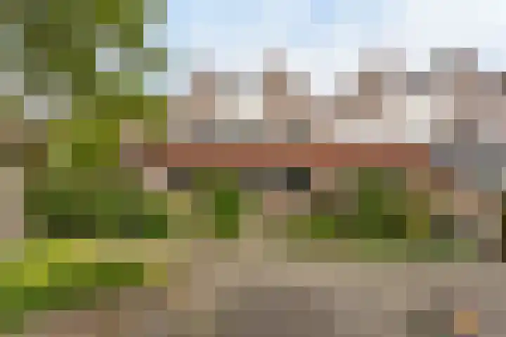 Waterhoen 10 Mijdrecht thumbnail 35