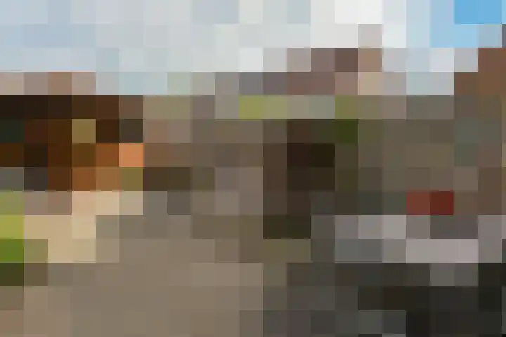 Waterhoen 10 Mijdrecht thumbnail 4