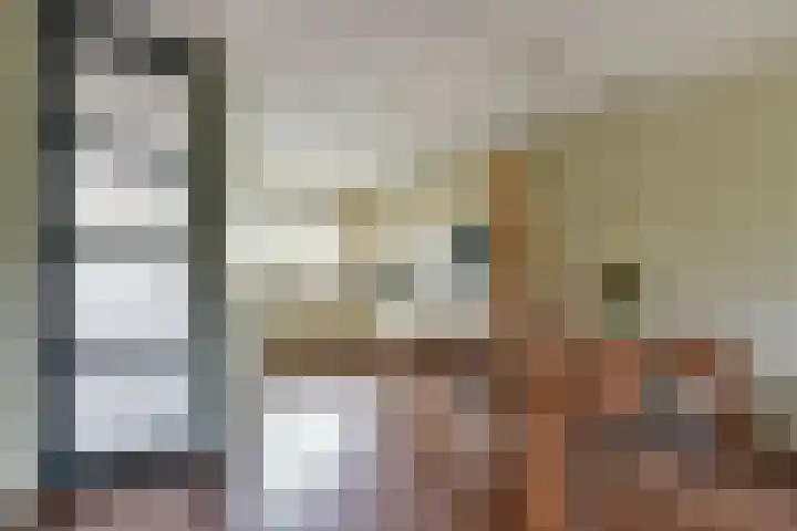 Waterhoen 10 Mijdrecht thumbnail 7