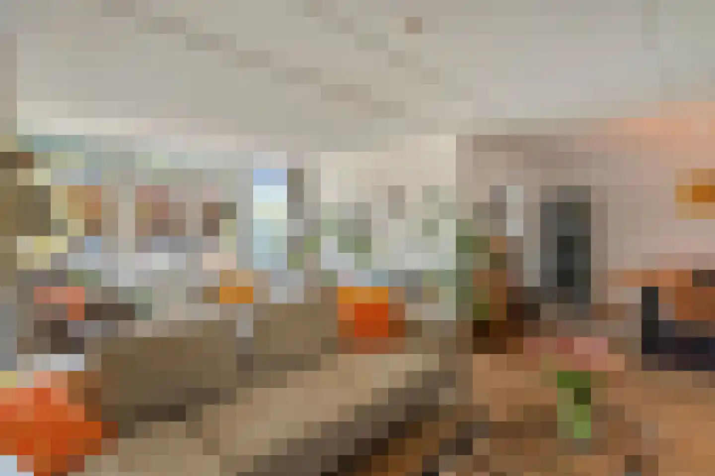 Waterhoen 11 Meppel thumbnail 14