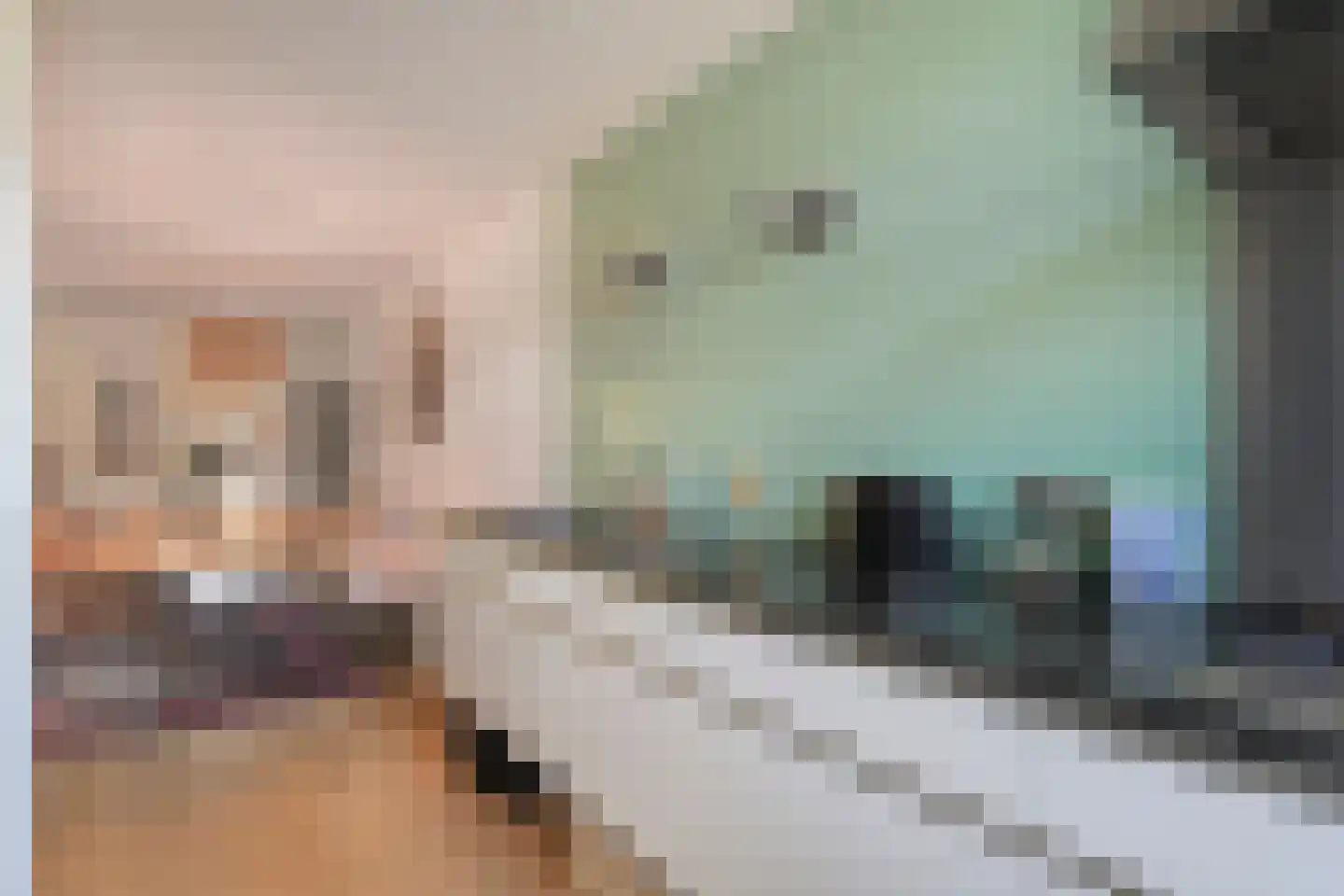 Waterhoen 11 Meppel thumbnail 24