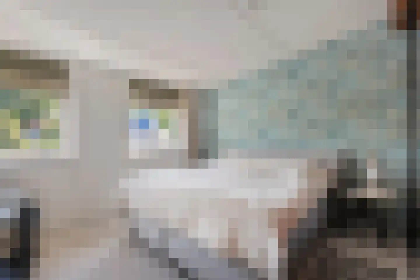 Waterhoen 11 Meppel thumbnail 32