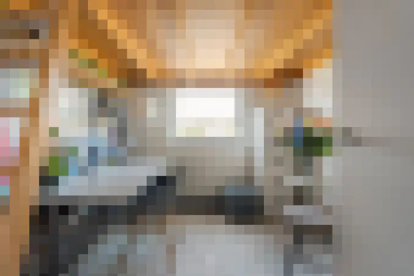 Waterhoen 11 Meppel thumbnail 36