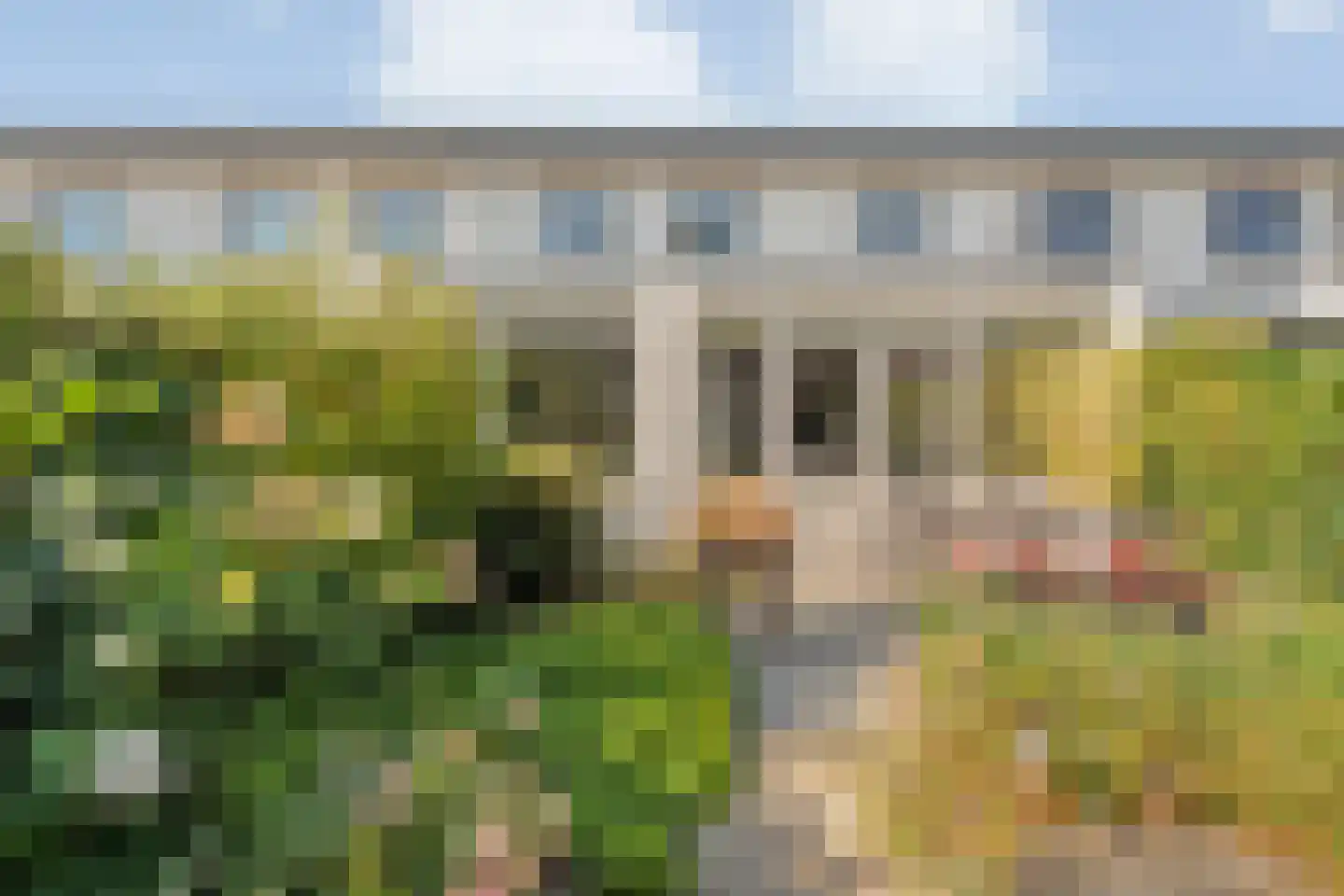 Waterhoen 11 Meppel thumbnail 43
