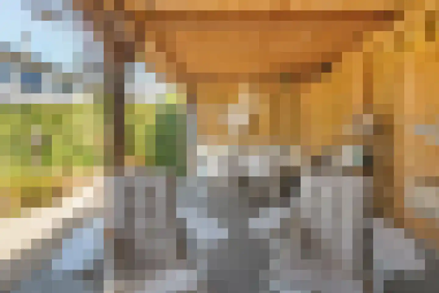 Waterhoen 11 Meppel thumbnail 49