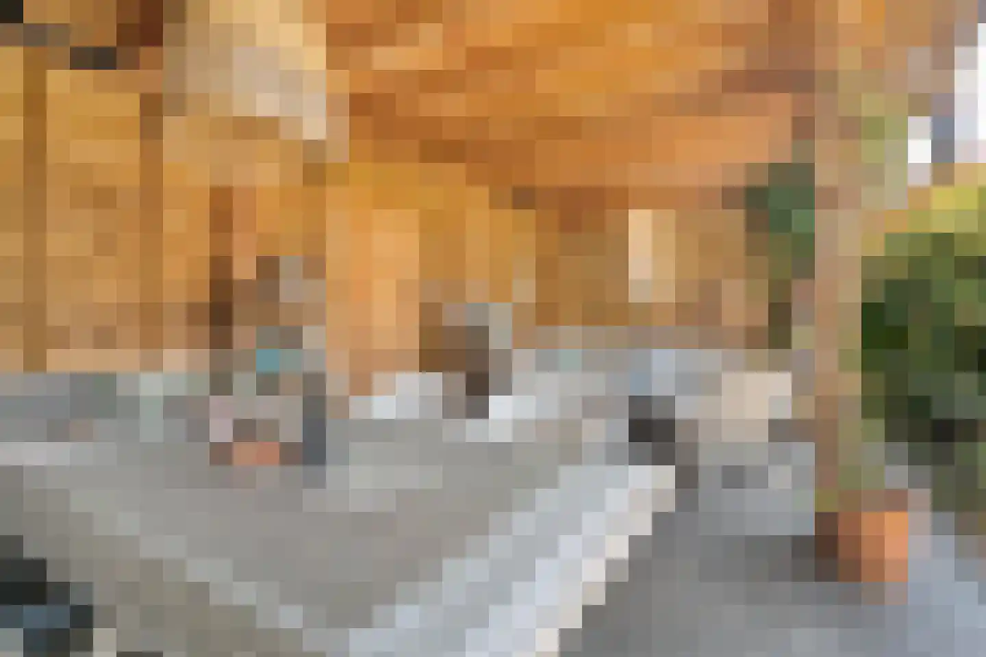 Waterhoen 11 Meppel thumbnail 50