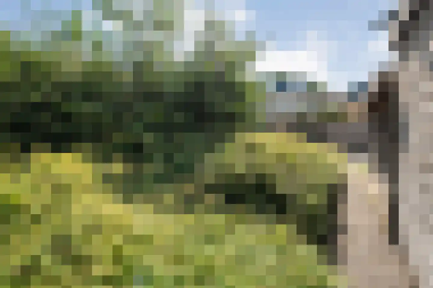 Waterhoen 11 Meppel thumbnail 53