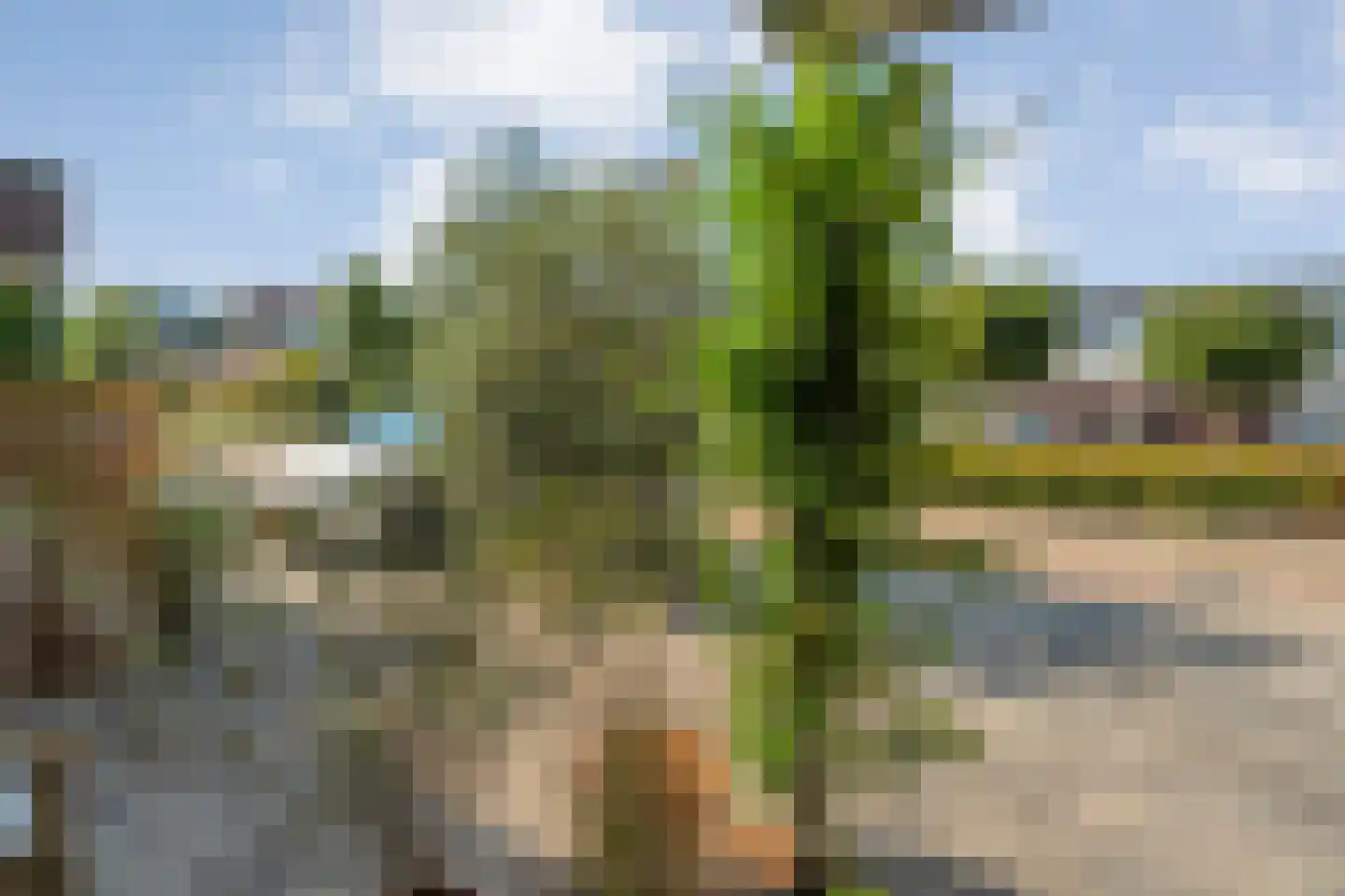 Waterhoen 11 Meppel thumbnail 57
