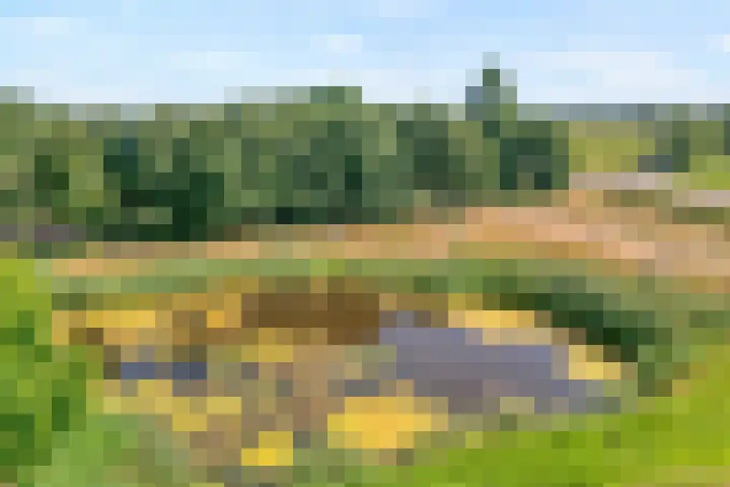 Waterhoen 11 Meppel thumbnail 59