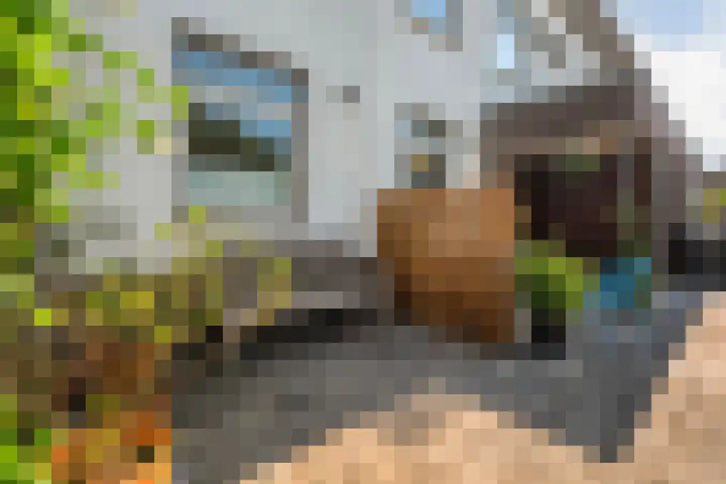 Waterhoen 11 Meppel thumbnail 8