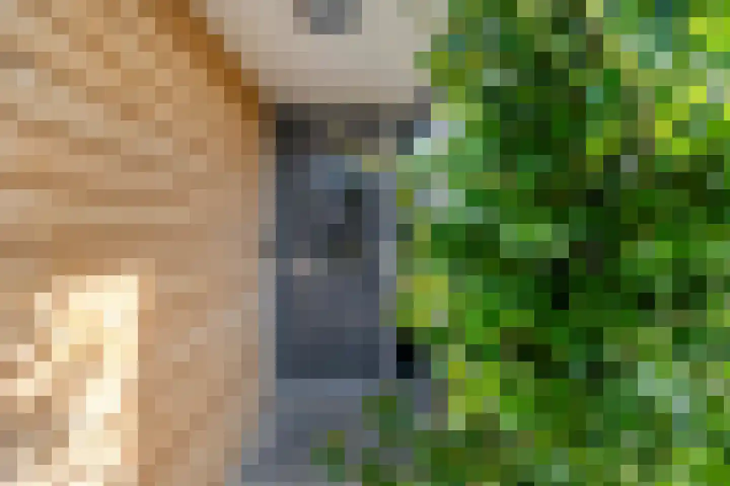 Waterhoen 11 Meppel thumbnail 9