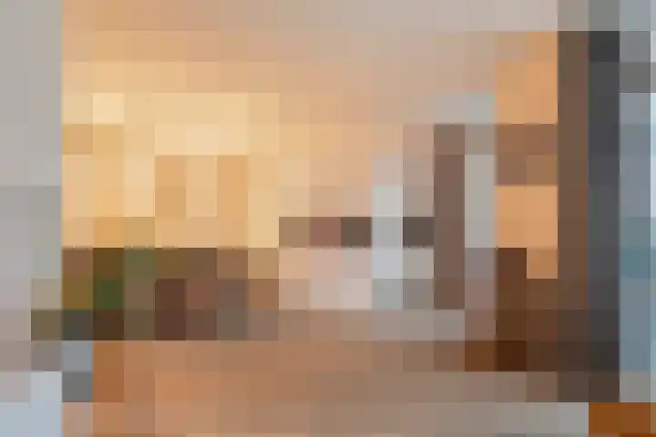 Waterhoen 13 Meppel thumbnail 10