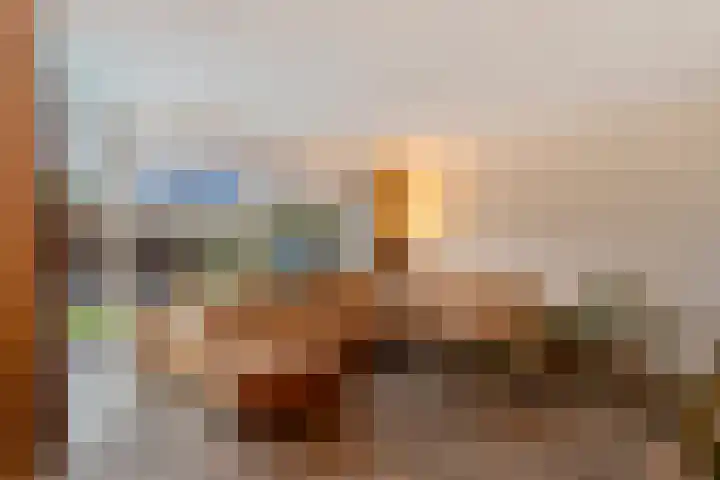 Waterhoen 13 Meppel thumbnail 11
