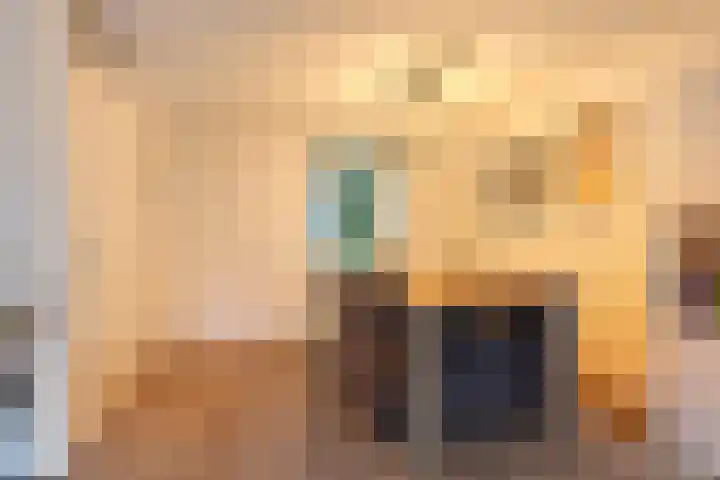 Waterhoen 13 Meppel thumbnail 14