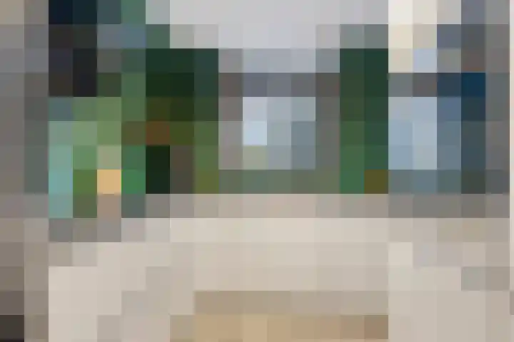Waterhoen 13 Meppel thumbnail 15