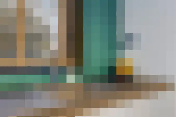 Waterhoen 13 Meppel thumbnail 17