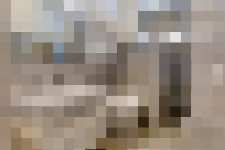 Waterhoen 13 Meppel thumbnail 23