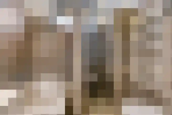 Waterhoen 13 Meppel thumbnail 24