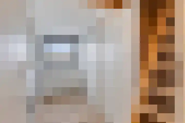 Waterhoen 13 Meppel thumbnail 30