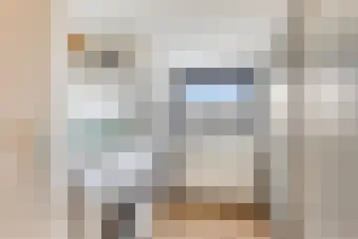 Waterhoen 13 Meppel thumbnail 31
