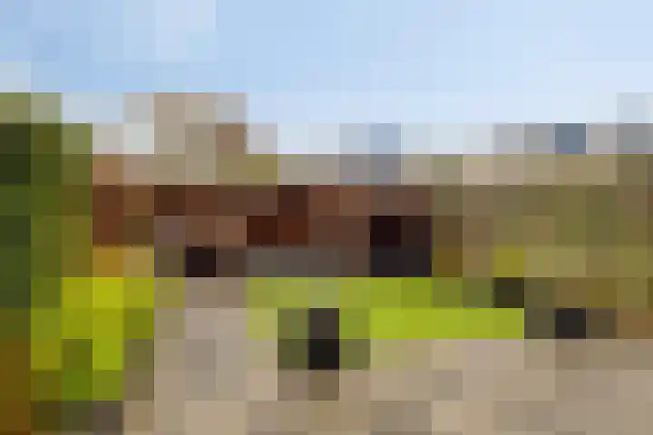 Waterhoen 13 Meppel thumbnail 32
