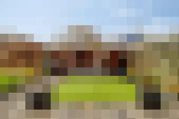 Waterhoen 13 Meppel thumbnail 33