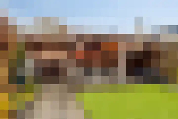 Waterhoen 13 Meppel thumbnail 34