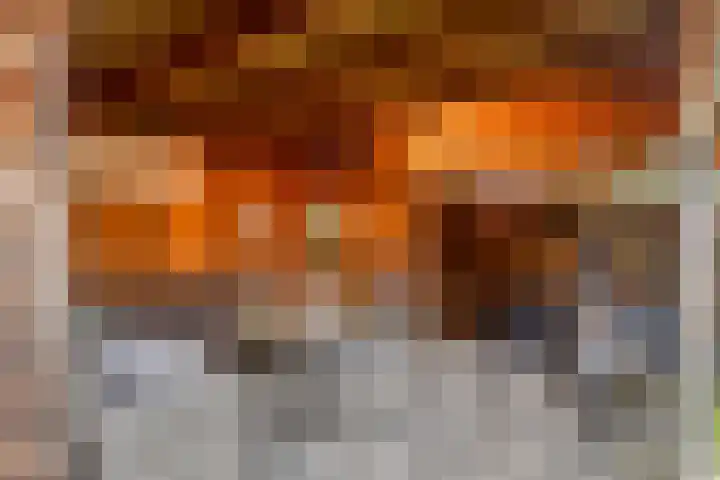 Waterhoen 13 Meppel thumbnail 36
