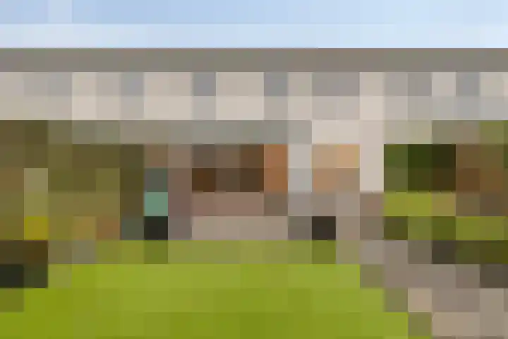 Waterhoen 13 Meppel thumbnail 37