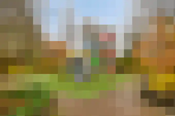 Waterhoen 13 Meppel thumbnail 38