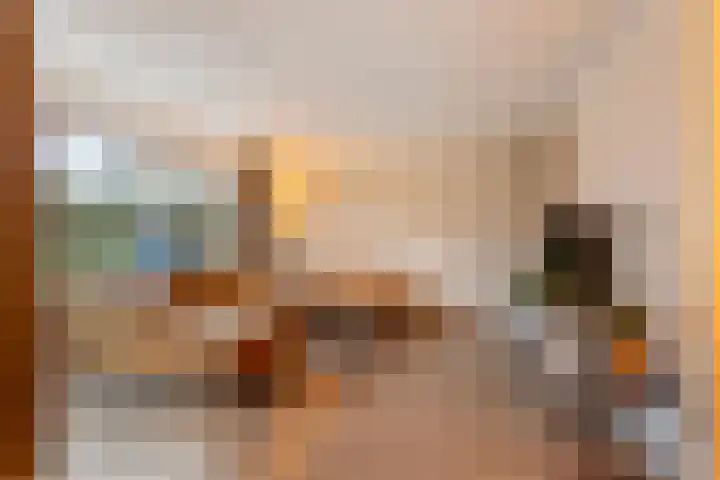 Waterhoen 13 Meppel thumbnail 8