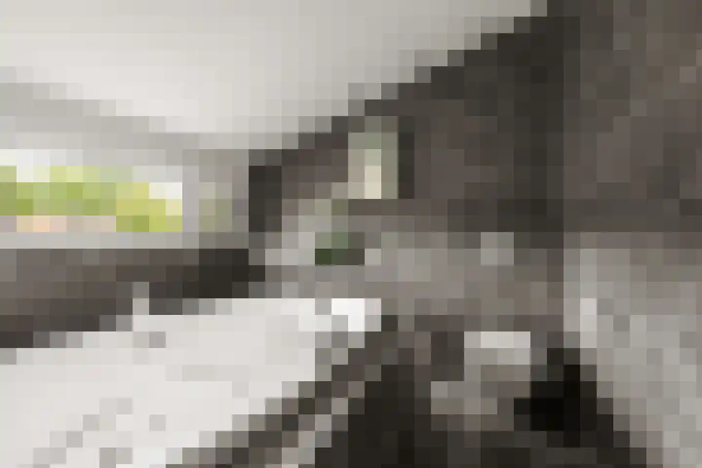 Waterhoen 18 Leusden thumbnail 22
