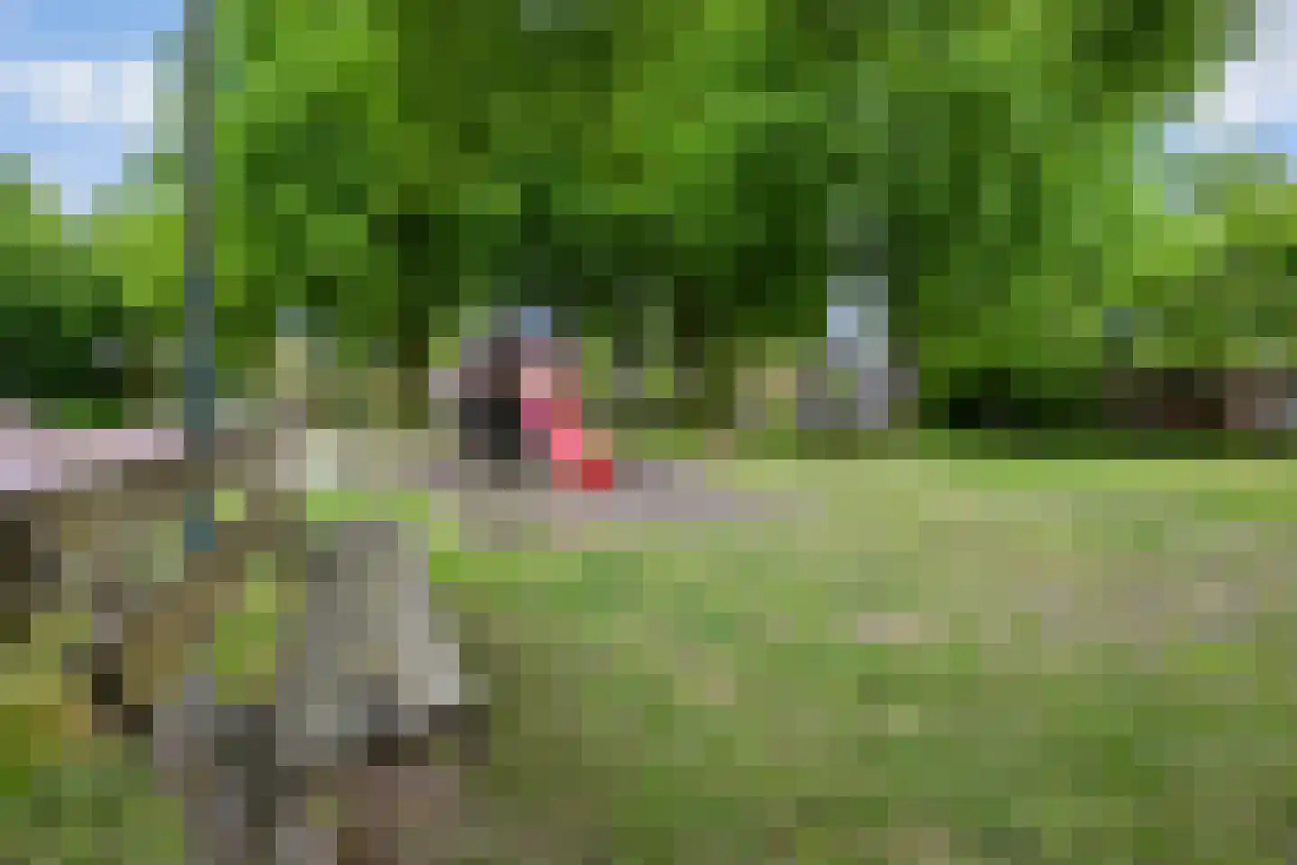 Waterhoen 18 Leusden thumbnail 30