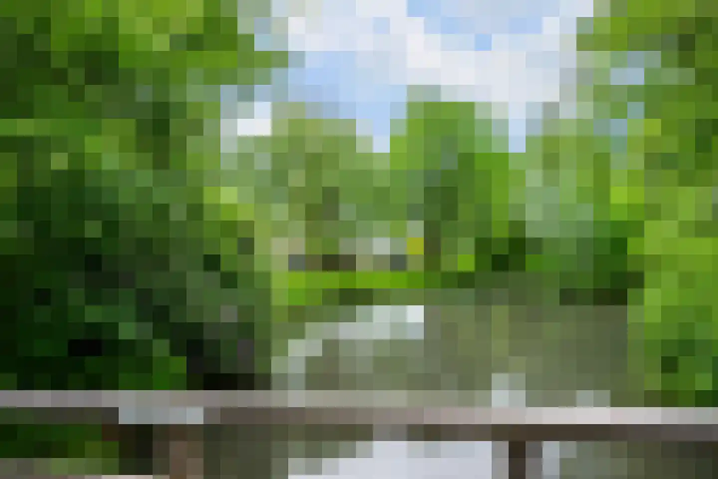 Waterhoen 18 Leusden thumbnail 31