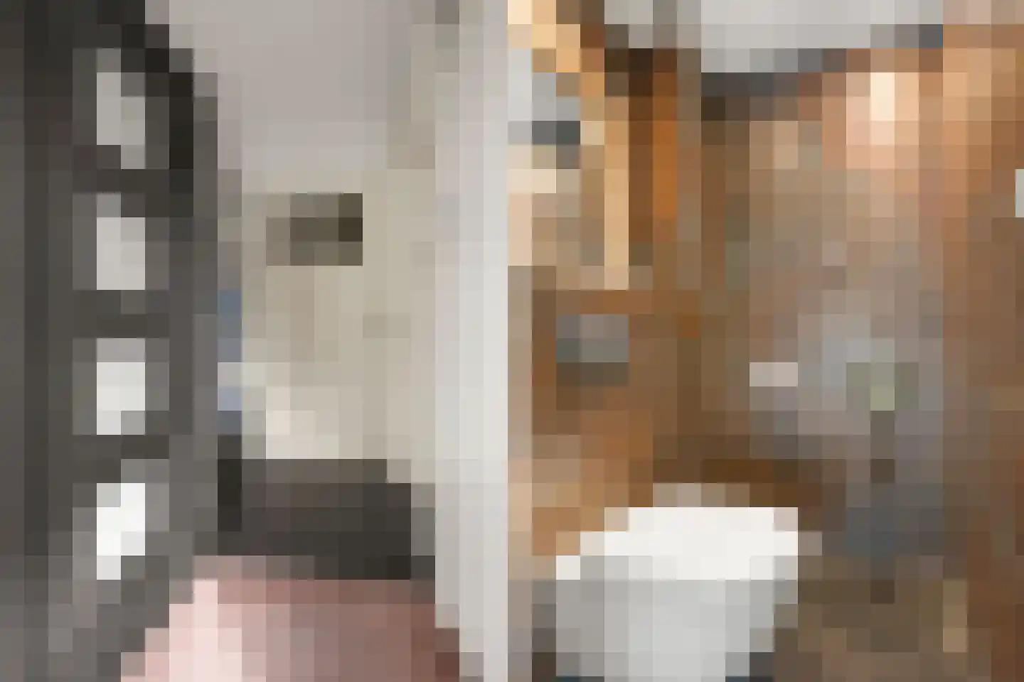 Waterhoen 18 Leusden thumbnail 6