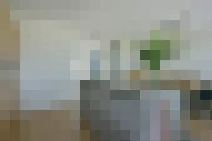 Waterhoen 18 Noorden thumbnail 10