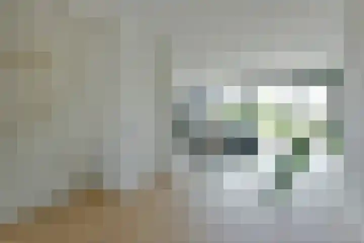 Waterhoen 18 Noorden thumbnail 13
