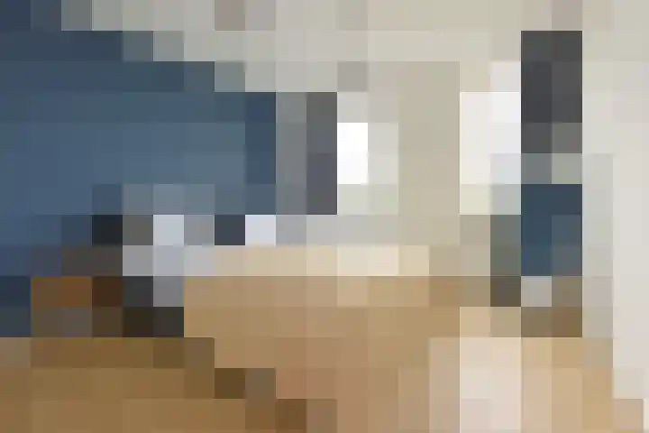 Waterhoen 18 Noorden thumbnail 22