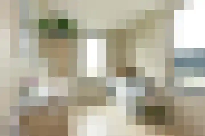 Waterhoen 18 Noorden thumbnail 24