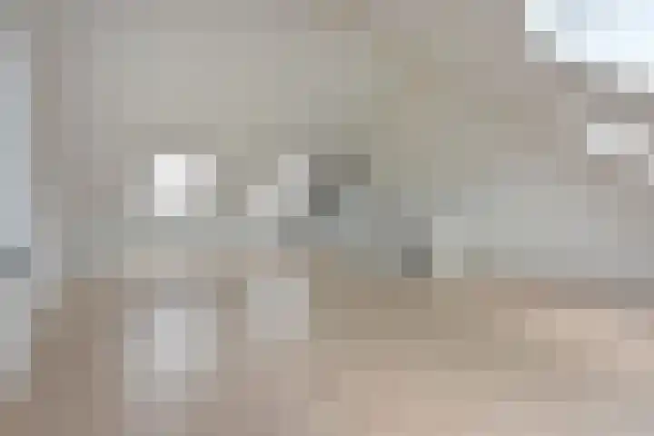 Waterhoen 18 Noorden thumbnail 33