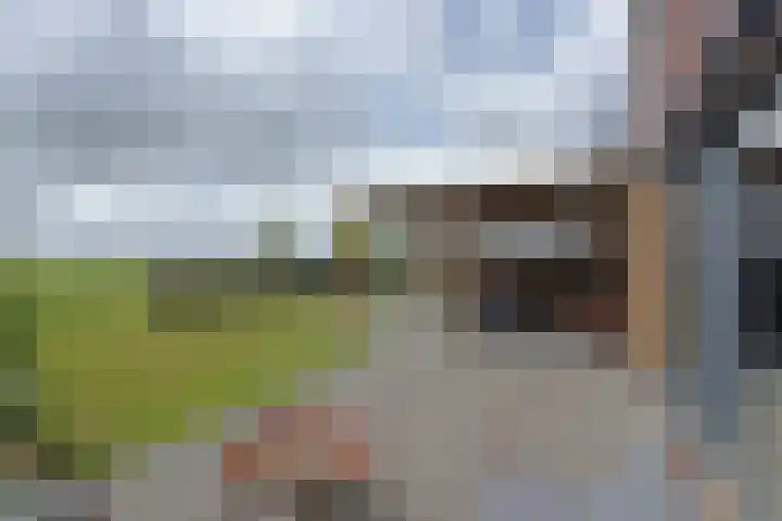 Waterhoen 18 Noorden thumbnail 35