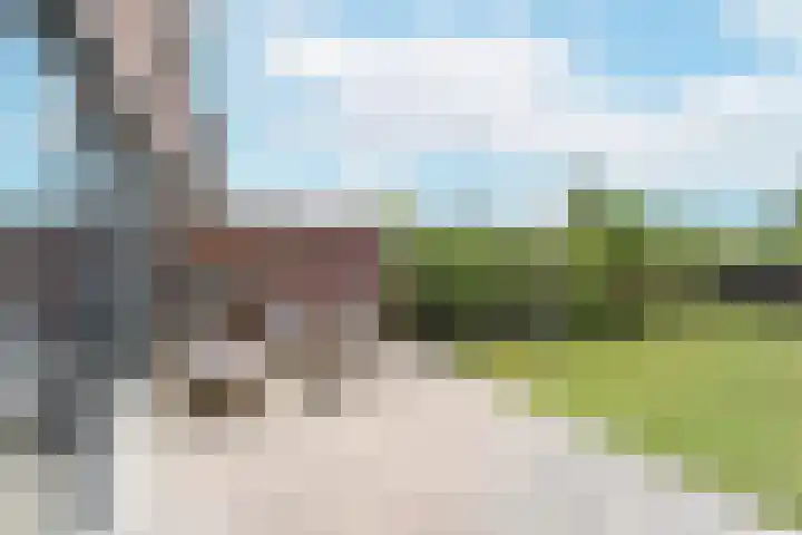 Waterhoen 18 Noorden thumbnail 37