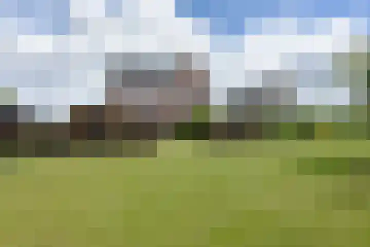 Waterhoen 18 Noorden thumbnail 38