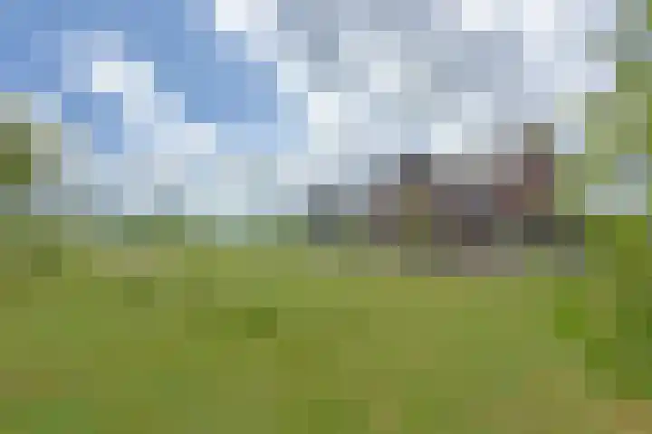 Waterhoen 18 Noorden thumbnail 39