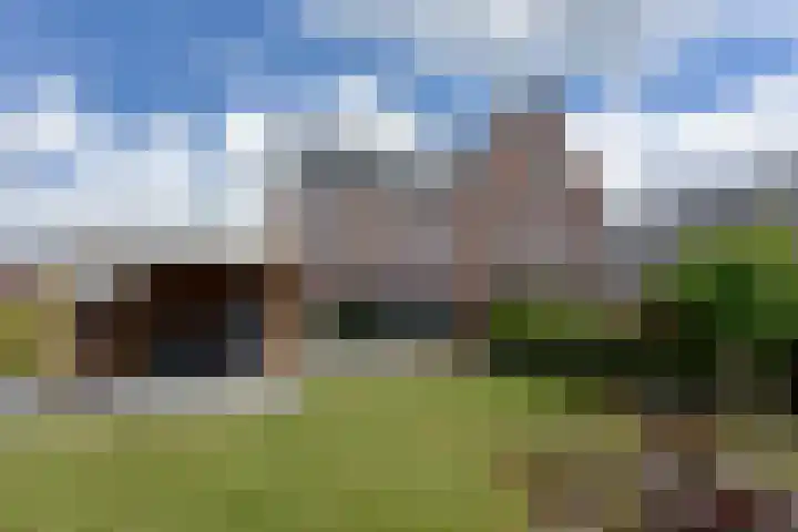 Waterhoen 18 Noorden thumbnail 4