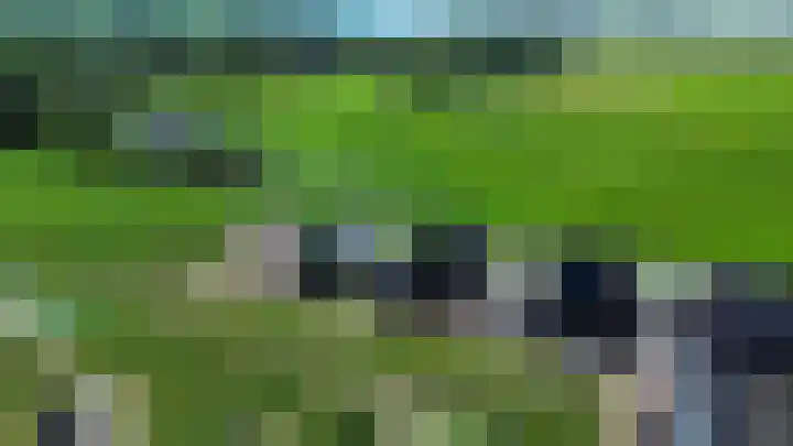 Waterhoen 18 Noorden thumbnail 40